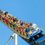 A roller-coaster ride – 2020